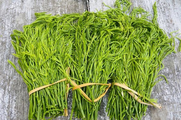A strong-smelling vegetable